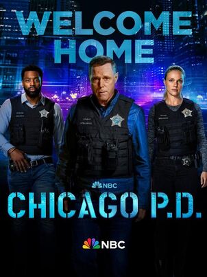 Полиция Чикаго - 5 сезон
